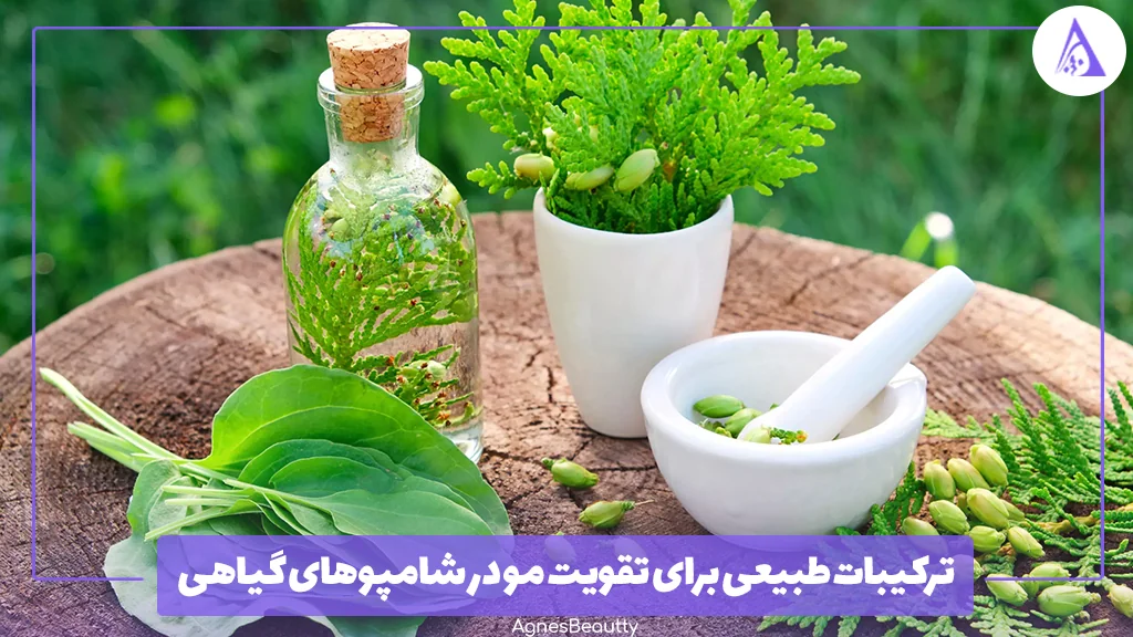 ترکیبات طبیعی برای تقویت مو در شامپوهای گیاهی