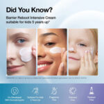کرم آبرسان آنوا ترمیم کننده سراماید مناسب پوست خشک و حساس Anua Kpop Demon Hunter Barrier Intensive Cream حجم 50 میل - Image 3